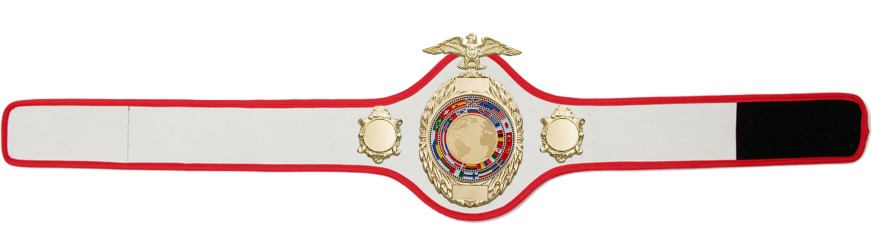 CHAMPIONSHIP BELT PRO288/G/FLAGG - AVAILABLE IN 10 COLOURS CHAMPIONSHIP BELT PRO288/G/FLAGG - AVAILABLE IN 10 COLOURS